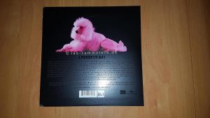 Rammstein - Pussy (Limited 7inch Vinyl, UK Import) | Nummer 467 | 3